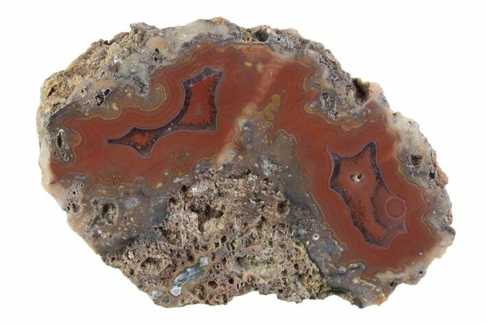 Polished Banded Agate Nodule Half - Bou Hamza, Morocco #373312